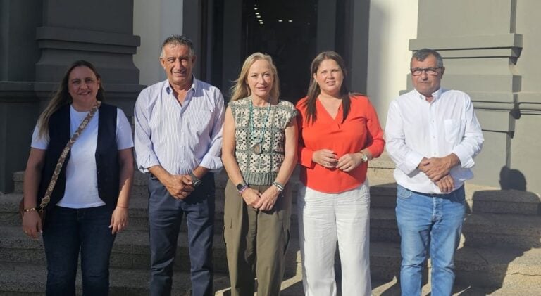 El PP pide la comparecencia de Blas Acosta para que informe sobre los PICOS