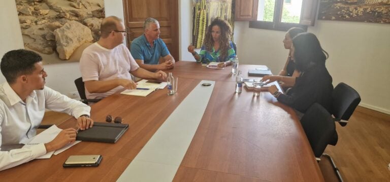 Cabildo y ayuntamientos buscan soluciones para extender la fibra óptica en Fuerteventura