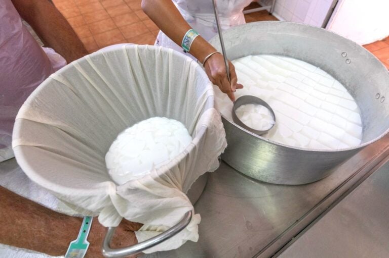 El Cabildo felicita a Museo del Campo Majorero por su reconocimiento en los premios Alimentos de España