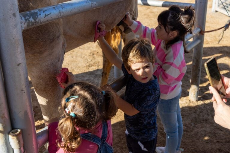 Éxito de la iniciativa «Camino de sus majestades de Oriente» con gran afluencia de visitantes