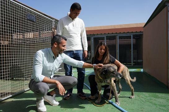 Gesplan impulsa mejoras en el Albergue de Animales de La Oliva