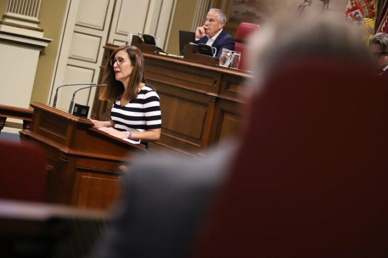 Natalia Santana (NC) impulsa un acuerdo del Parlamento para frenar las perforaciones de tierras raras en Fuerteventura