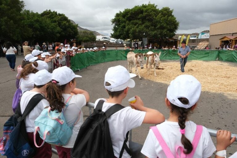 Alrededor de 2.500 escolares conocen la labor del sector primario majorero en FEAGA 2024