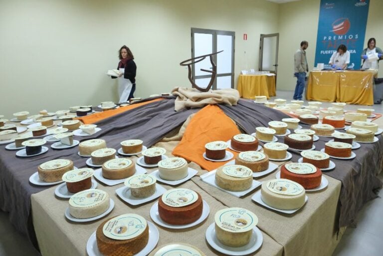 Casi un centenar de quesos de cabra de Canarias y Península participan en el XX Concurso Nacional de Premios Tabefe