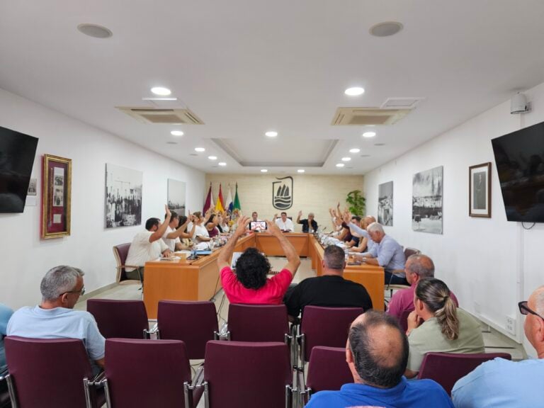 Puerto del Rosario aprueba la concesión de nueve licencias de Taxi PMR