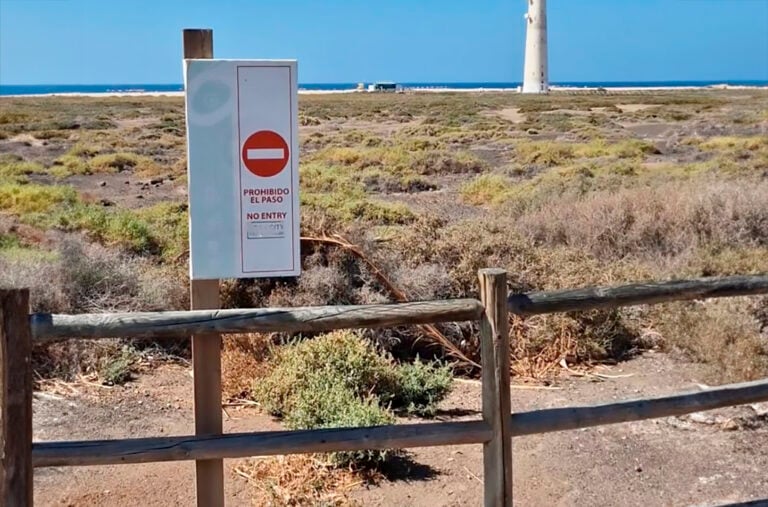 Restauran más de mil metros de vallado en el Saladar de Jandía para proteger su biodiversidad única