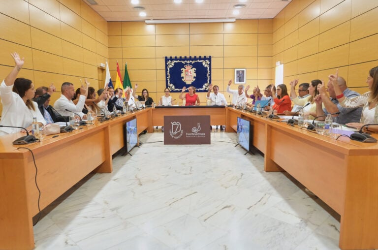 El Pleno del Cabildo aprueba la cesión definitiva del suelo del Palacio de Justicia tras el periodo de información pública