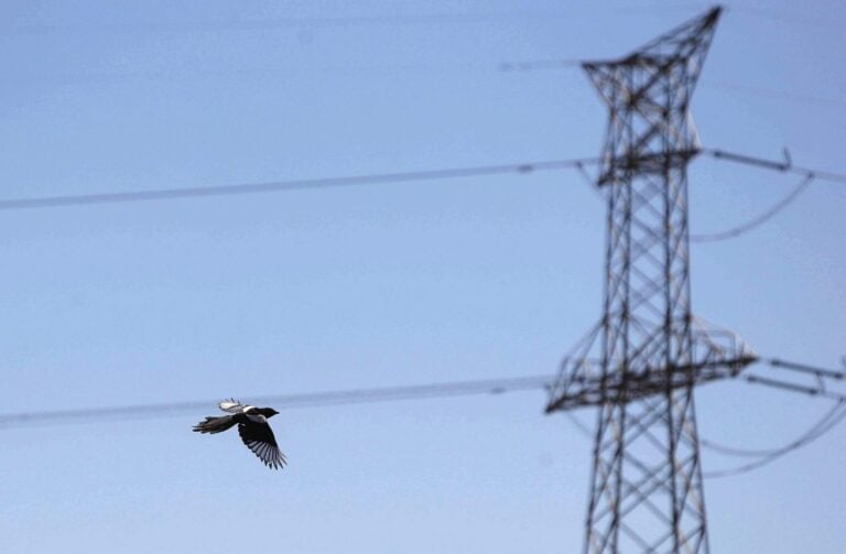 El Cabildo de Fuerteventura acuerda con Red Eléctrica el desmantelamiento del antiguo tendido de 66 Kv