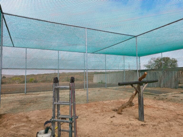 El Cabildo de Fuerteventura mejora las instalaciones para la protección de la fauna y la flora de la Estación Biológica de La Oliva