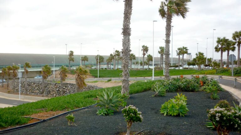 Impagos y precariedad en jardinería del aeropuerto de Fuerteventura