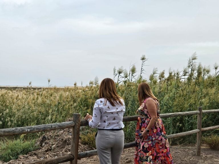 El Ayuntamiento de Pájara y el Cabildo de Fuerteventura muestran su preocupación por la plaga de caña común que afecta al Salazar de Jandía