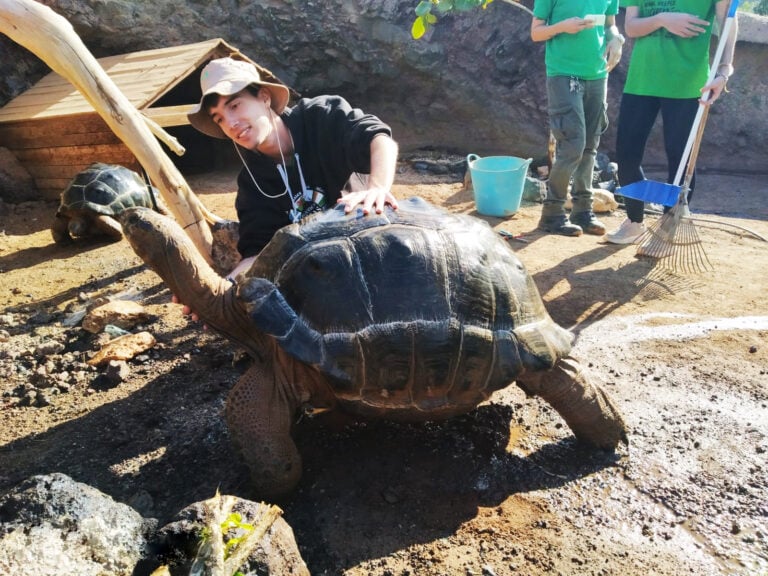 Aforo completo en tiempo récord para el único campamento profesional europeo de veterinarios y cuidadores de animales