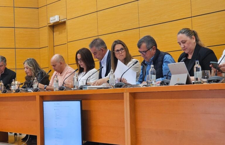 El PP critica la gestión del Cabildo sobre la subestación eléctrica de Tuineje y defiende mejoras en seguridad