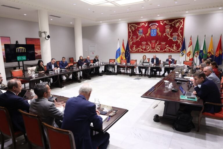 El Parlamento celebra la primera Comisión General de Cabildos Insulares del año
