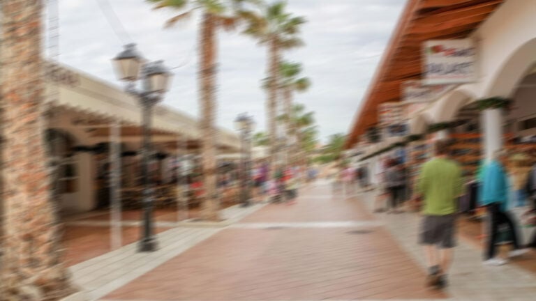 Eduard Van der Veen: “Vamos a tener que contratar seguridad privada para vigilar las calles de El Castillo”