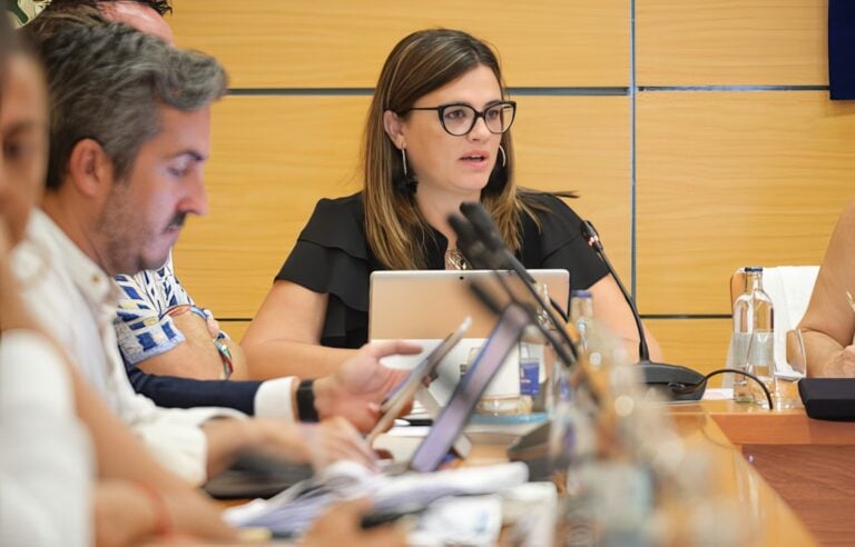 El Cabildo aprobará su Plan Económico sin recurrir a deuda y con más de 130 millones en reservas