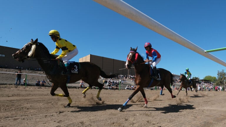 Miles de personas presencian el II Interprovincial de Caballos de FEAGA