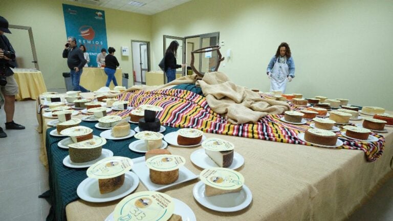 El queso curado pasteurizado de Julián Díaz gana el premio a Mejor Queso de Canarias en los premios Tabefe