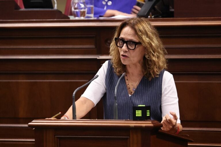 Rosa Cabrera impulsa la creación del Banco de Tierras de Canarias con amplio respaldo parlamentario