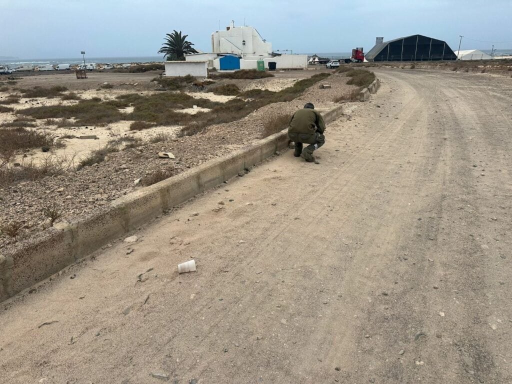 El FEM 2025 se despide dejando La Concha limpia y en equilibrio con la naturaleza