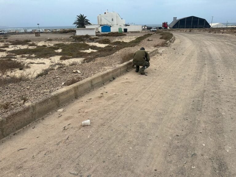 El FEM 2025 se despide dejando La Concha limpia y en equilibrio con la naturaleza