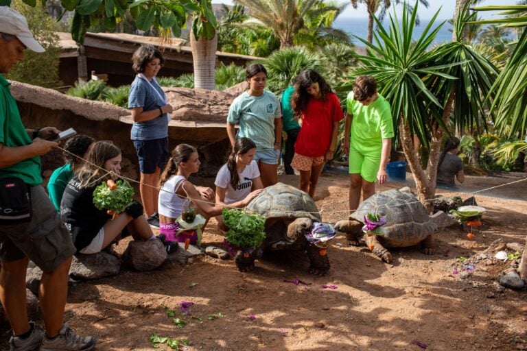 Oasis Camp 2025 culmina con éxito: educación emocional y conciencia ambiental para los líderes del futuro