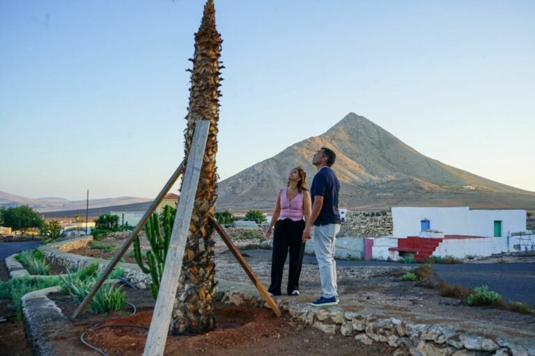 Gasoil derramado sobre árboles y palmeras en Tindaya: el Ayuntamiento de La Oliva denuncia nuevos actos vandálicos