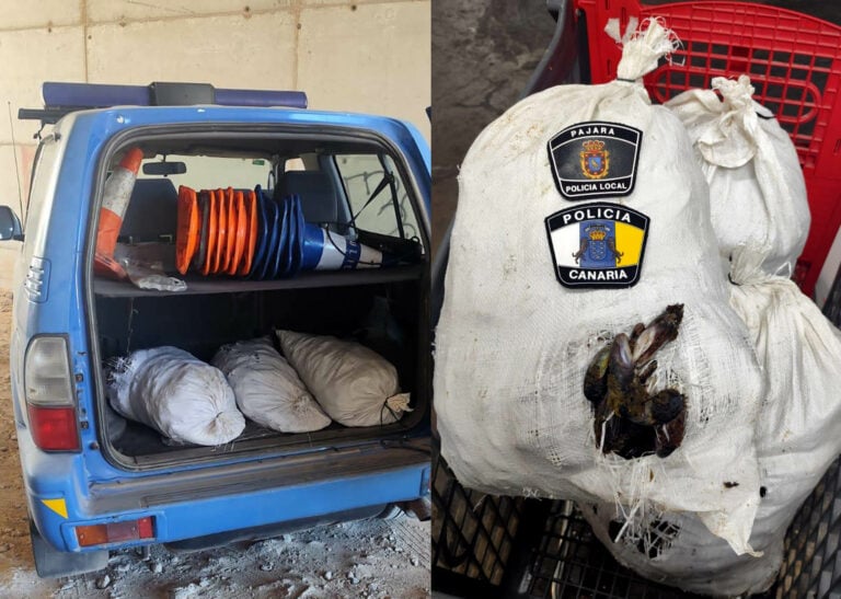 Denunciados tres mariscadores furtivos con 75 kilos de mejillones en la costa de Jandía