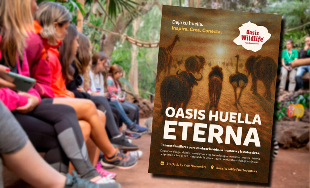 Oasis Wildlife Fuerteventura dedica el fin de semana a la memoria y conservación animal con “Huella Eterna Oasis”