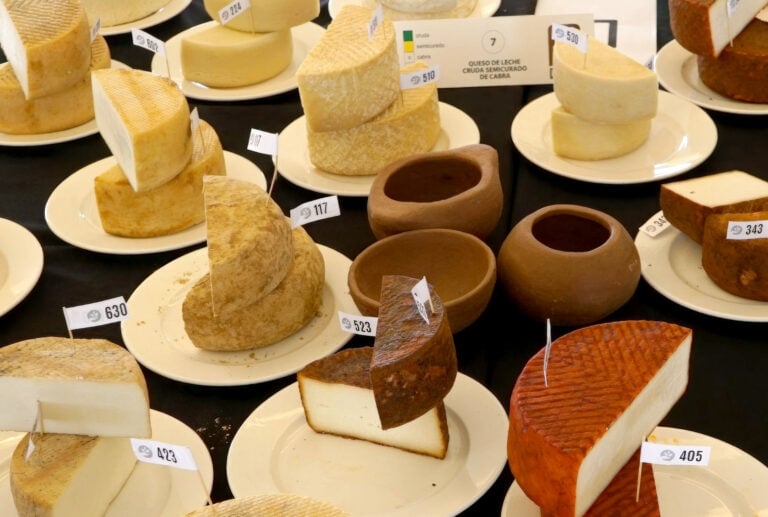 Fuerteventura brilla en los Premios Agrocanarias 2025 con una amplia cosecha de galardones al queso majorero