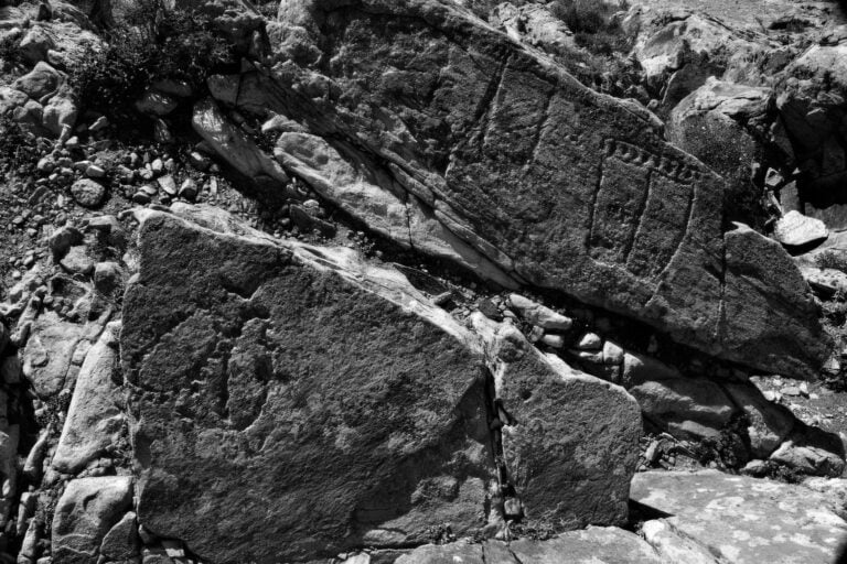 OPINIÓN: Seamos guardianes de nuestro legado: Mirar para otro lado no es opción