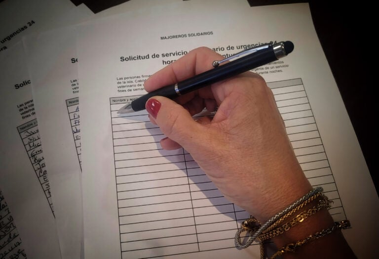 Fuerteventura se moviliza por las urgencias veterinarias: listado completo de locales donde firmar