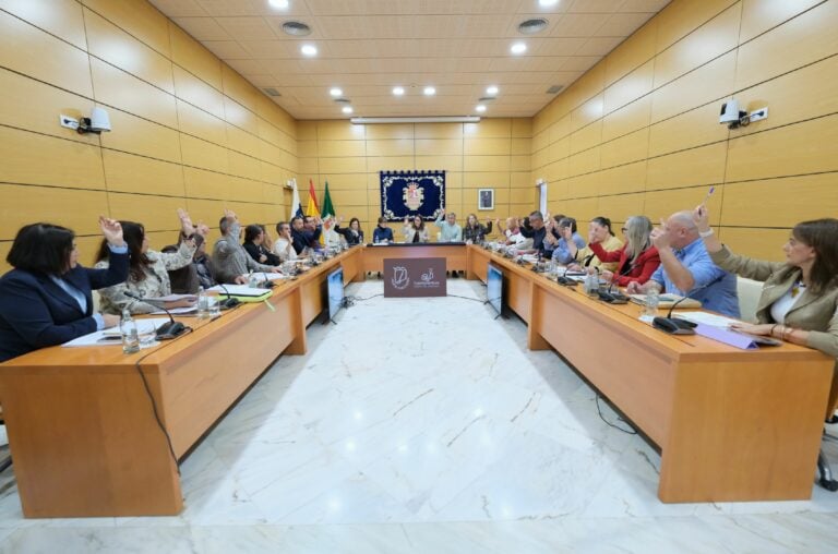 Un pleno de calado económico y social: comercio, artesanía y sector primario, prioridades del Cabildo