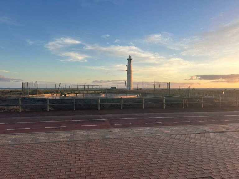 El Cabildo impulsa la naturalización del Saladar de Jandía con un proyecto sostenible