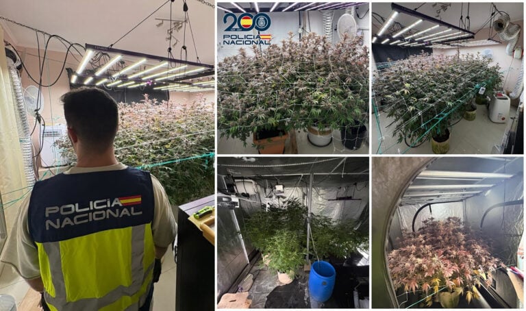 Desmantelado un cultivo indoor de marihuana en una vivienda ocupada en Pájara