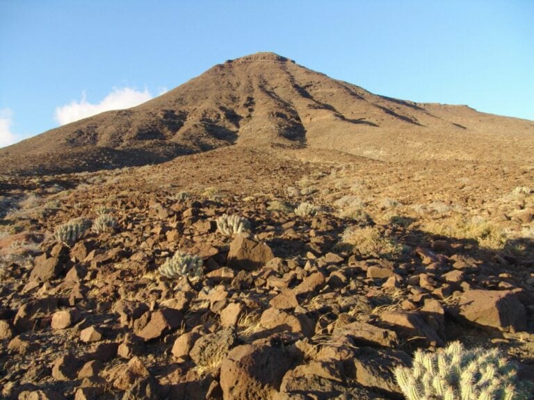 “Con inteligencia y determinación, se puede salvar Jandía”