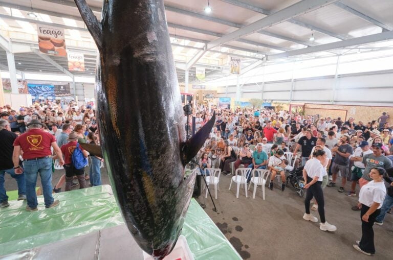 Centenares de personas disfrutan del tradicional ronqueo del atún en Feaga 2026