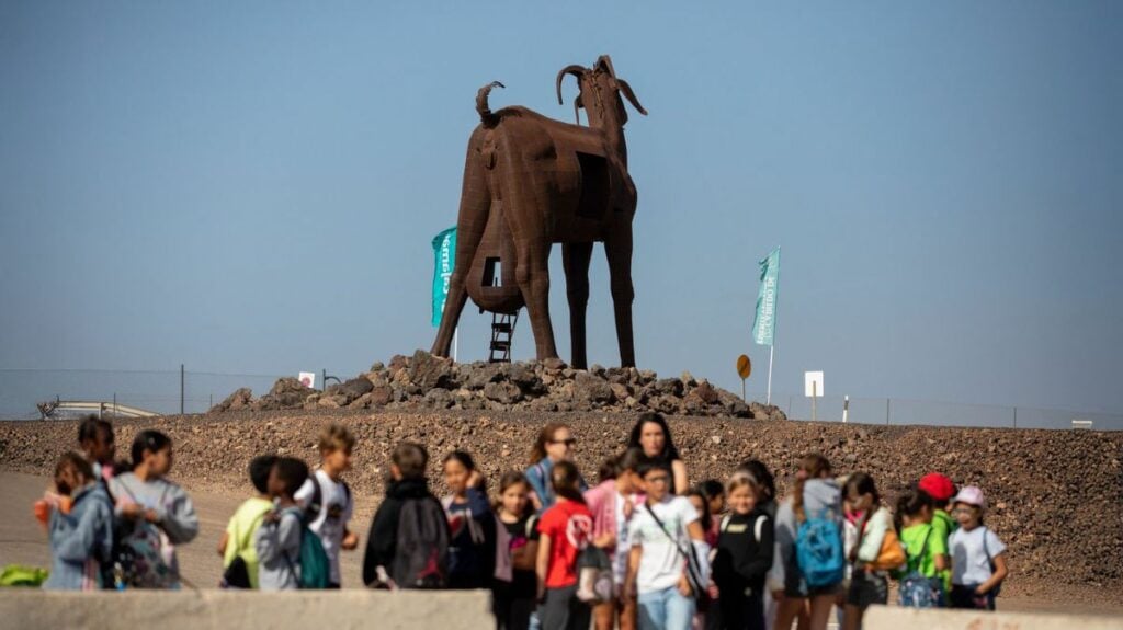 El sector responde a FEAGA: “Hay ganas de participar y de llevar animales a la feria”