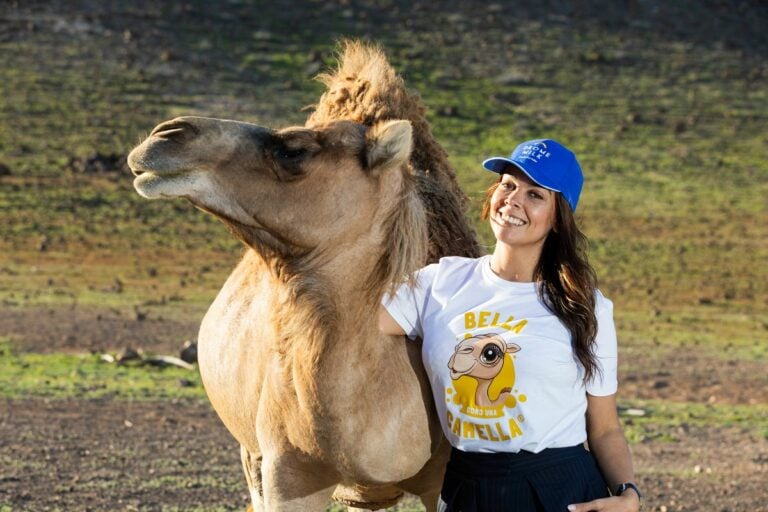 «Bella como una camella»: La moda canaria que busca salvar al camello autóctono