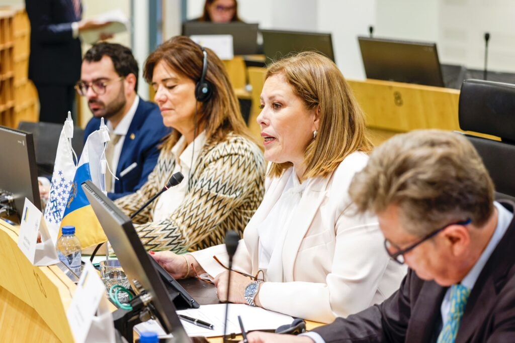Un momento durante la sesión plenaria en Bruselas