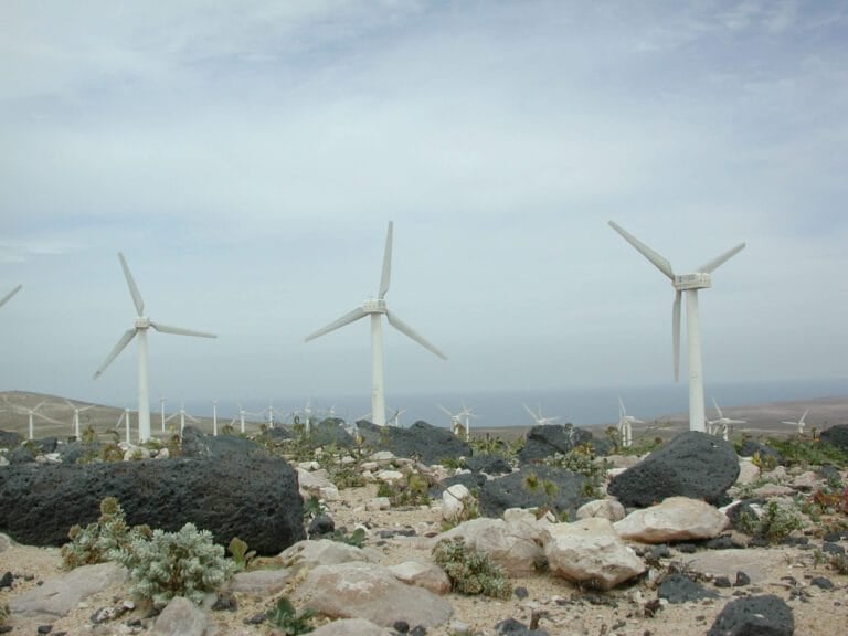 Fuerteventura elaborará un Plan Territorial que regule la implantación de las renovables