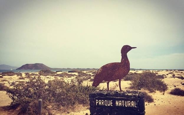 Rechazo absoluto de la Plataforma Salvar El Cotillo al proyecto ‘Dreamland Studios’