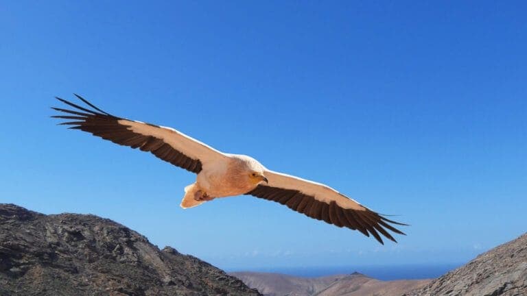 Lola García: «No podemos perder nuestra biodiversidad porque es lo que nos hace diferentes»