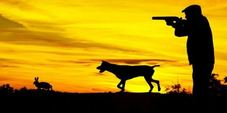 El Cabildo convoca las pruebas para obtener por primera vez la licencia de caza