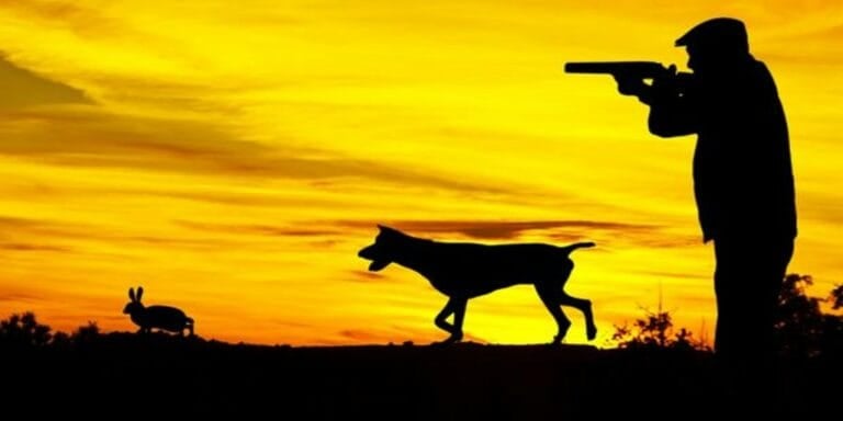El Cabildo convoca las pruebas para obtener por primera vez la licencia de caza