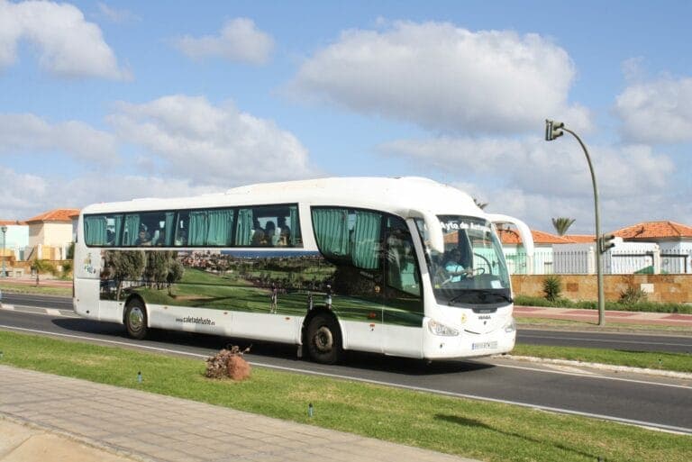 Servicio especial de guaguas para asistir a la Beach Party