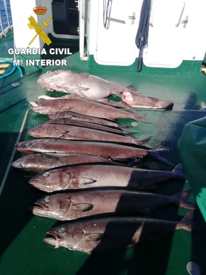 Intervenidos 179 kilos de pescado en una embarcación recreativa a una milla de El Cotillo