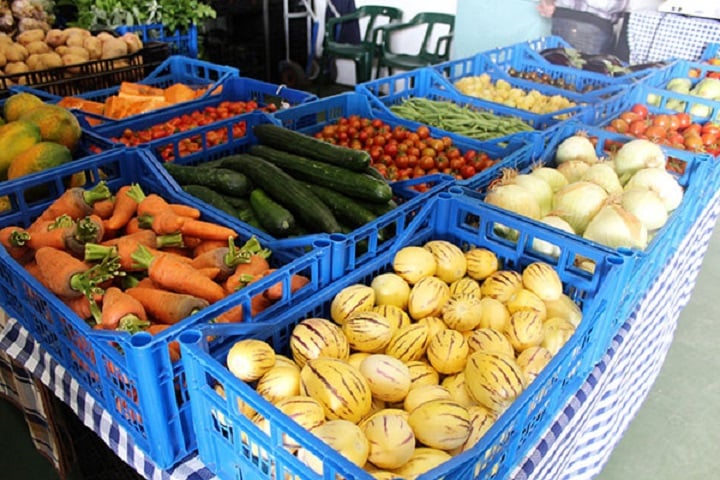 David de Vera apuesta por reactivar la Cooperativa Agrícola de Gran Tarajal