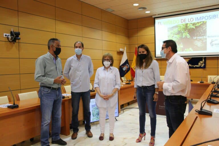 Fuerteventura cuenta con una variedad endémica y exclusiva de vid llamada ‘majorera’