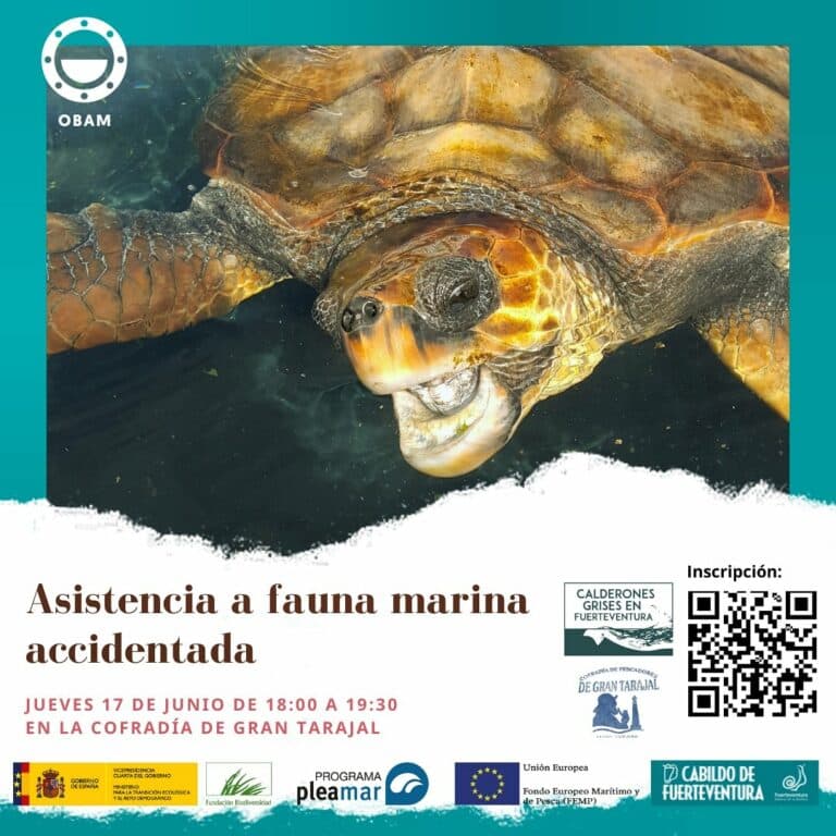 La Cofradía de Pescadores de Gran Tarajal acogerá un taller sobre asistencia a fauna accidentada